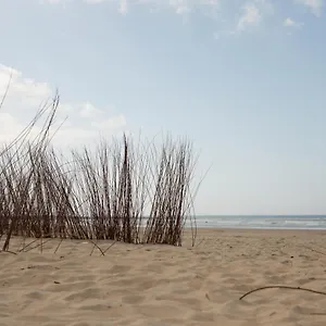 Mrz La Fábrica Barbate